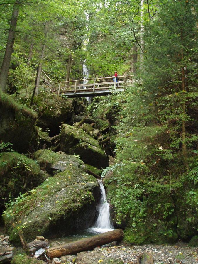 Gastehaus Koch Apartment Fischen im Allgaeu ภายนอก รูปภาพ