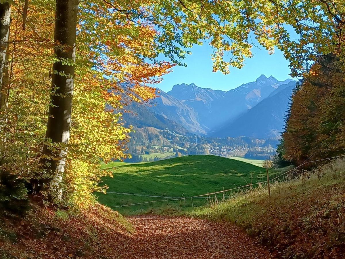 Gaestehaus Koch Fischen im Allgaeu ภายนอก รูปภาพ