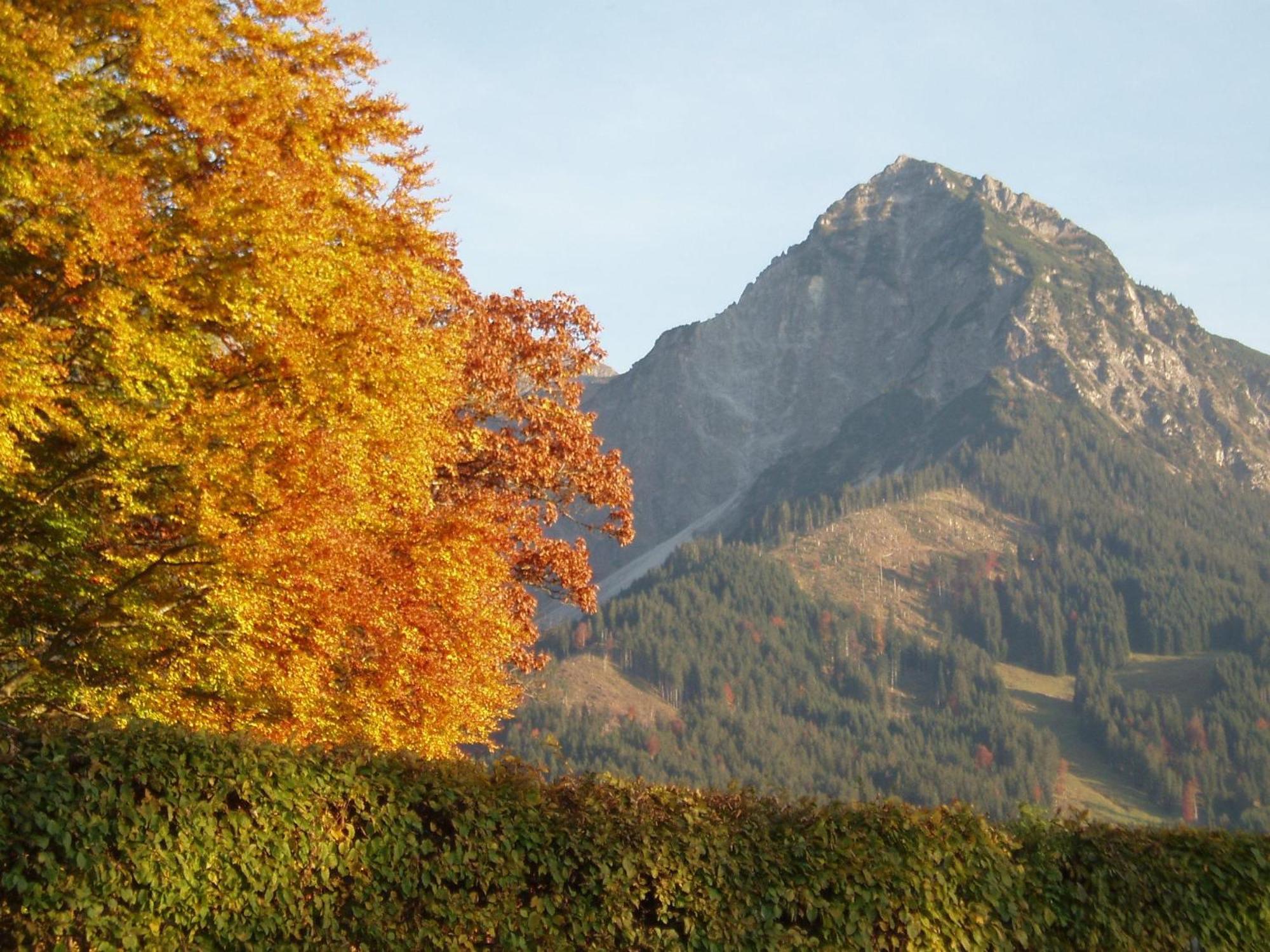 Gaestehaus Koch Fischen im Allgaeu ภายนอก รูปภาพ